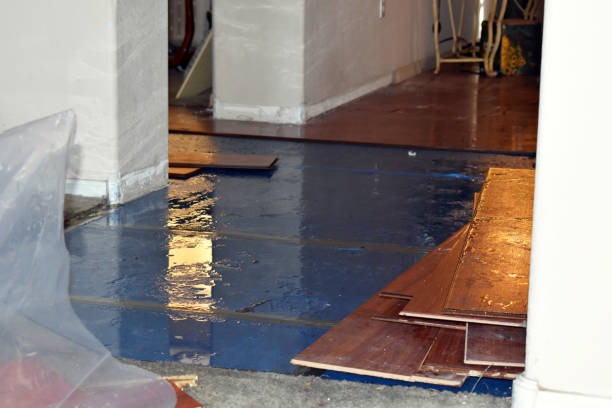 Professional Crawl Space Water Removal technician working in Waban, MA